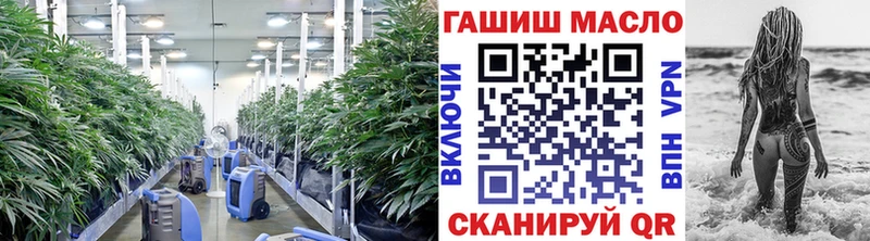 ТГК концентрат  где купить   Нововоронеж 