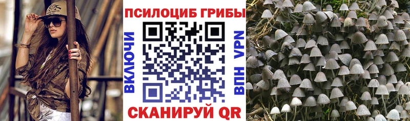 Псилоцибиновые грибы Cubensis  Нововоронеж 